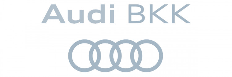Website Logo Audi BKK 1200x400