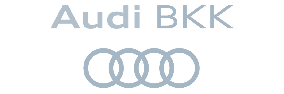 Website Logo Audi BKK 1200x400