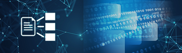 Vierstufige Prozessgrafik der DiRegiSta-Digitalisierung